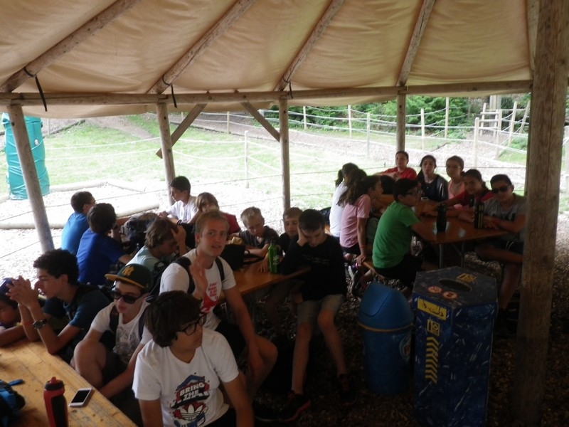 Village Camps International Summer Camp Leysin, Switzerland 2025-08-09 https://www.villagecamps.com/journals_admin/images/700-40-accrobranche (3).jpg